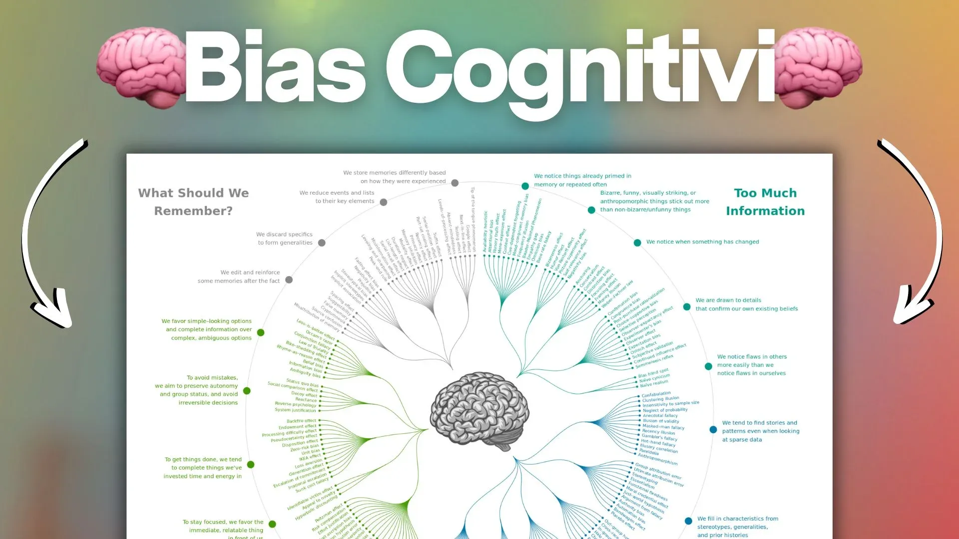 Bias Cognitivi: cosa sono, quali sono, come si manifestano